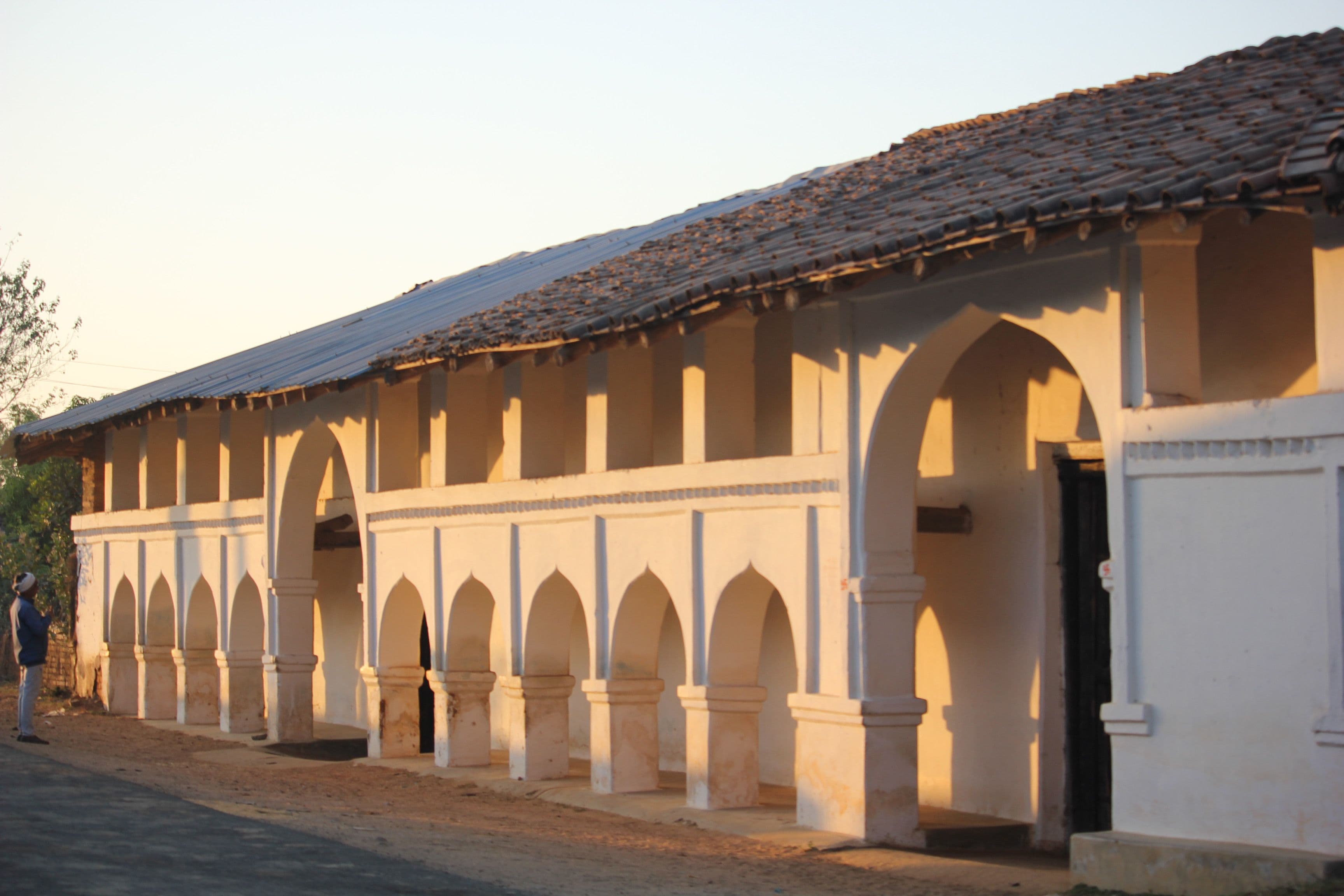 A cluster of wild mushrooms on the forest floor