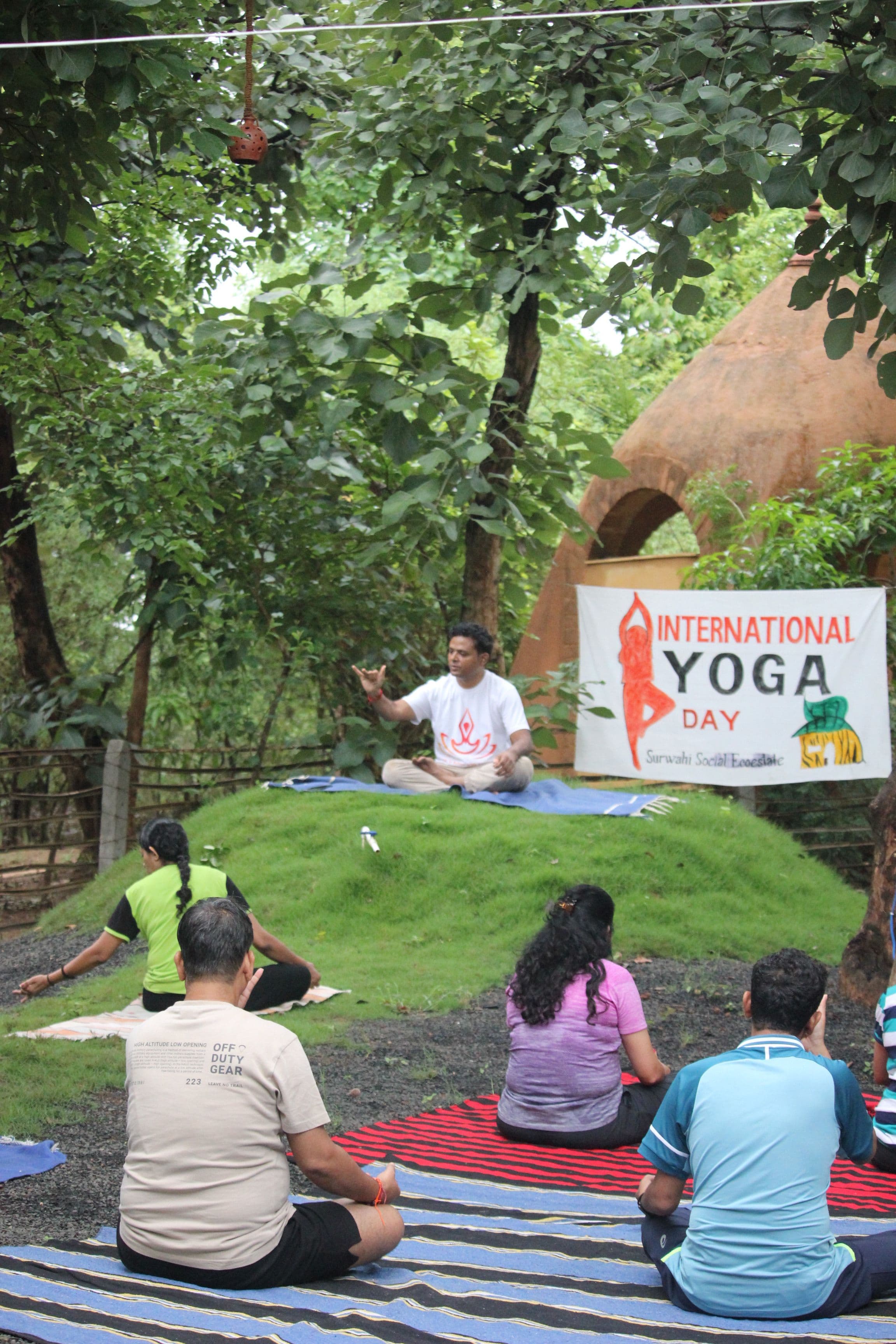 A tiger spotted during a wildlife safari