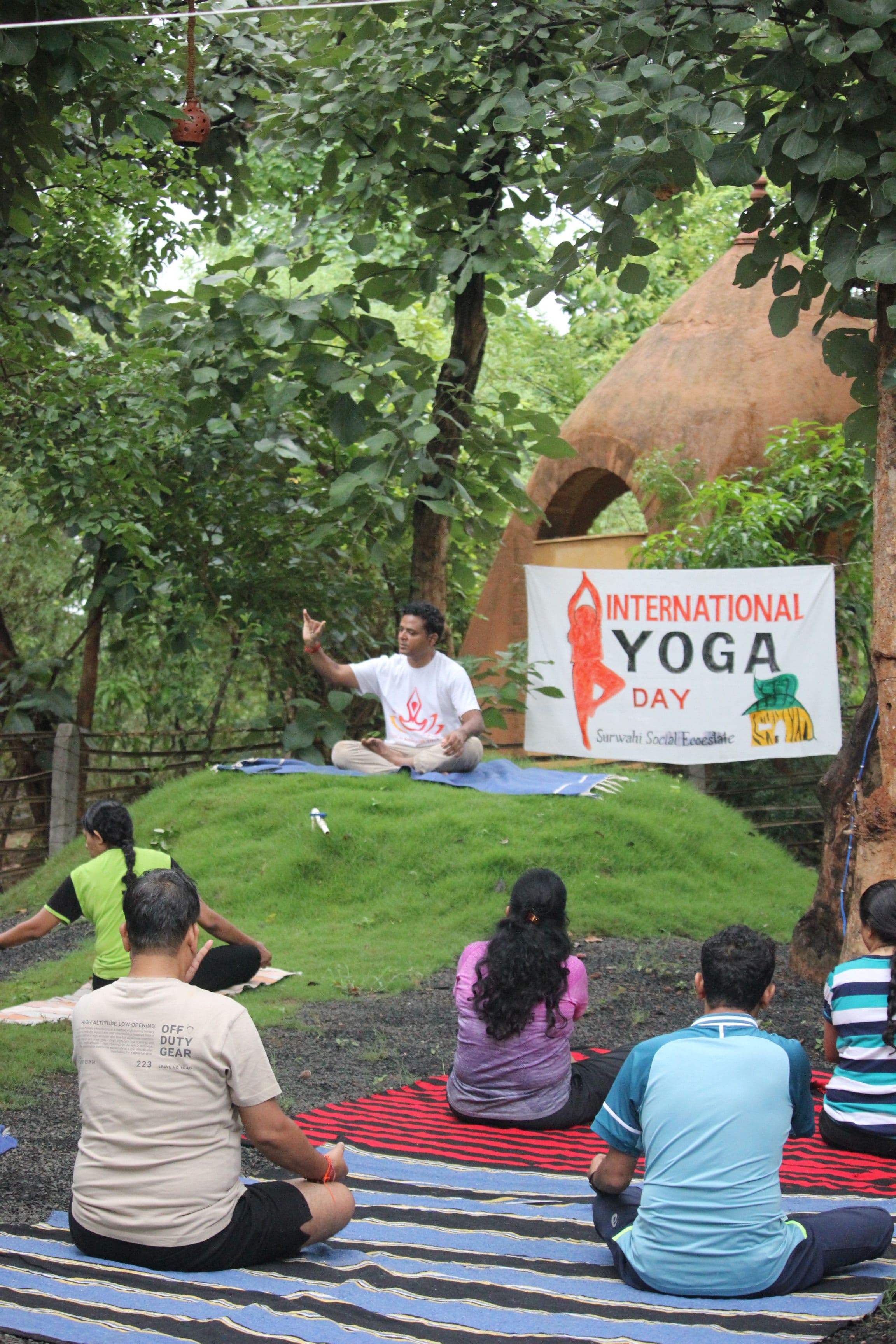 A Malabar Pied Hornbill perched on a branch