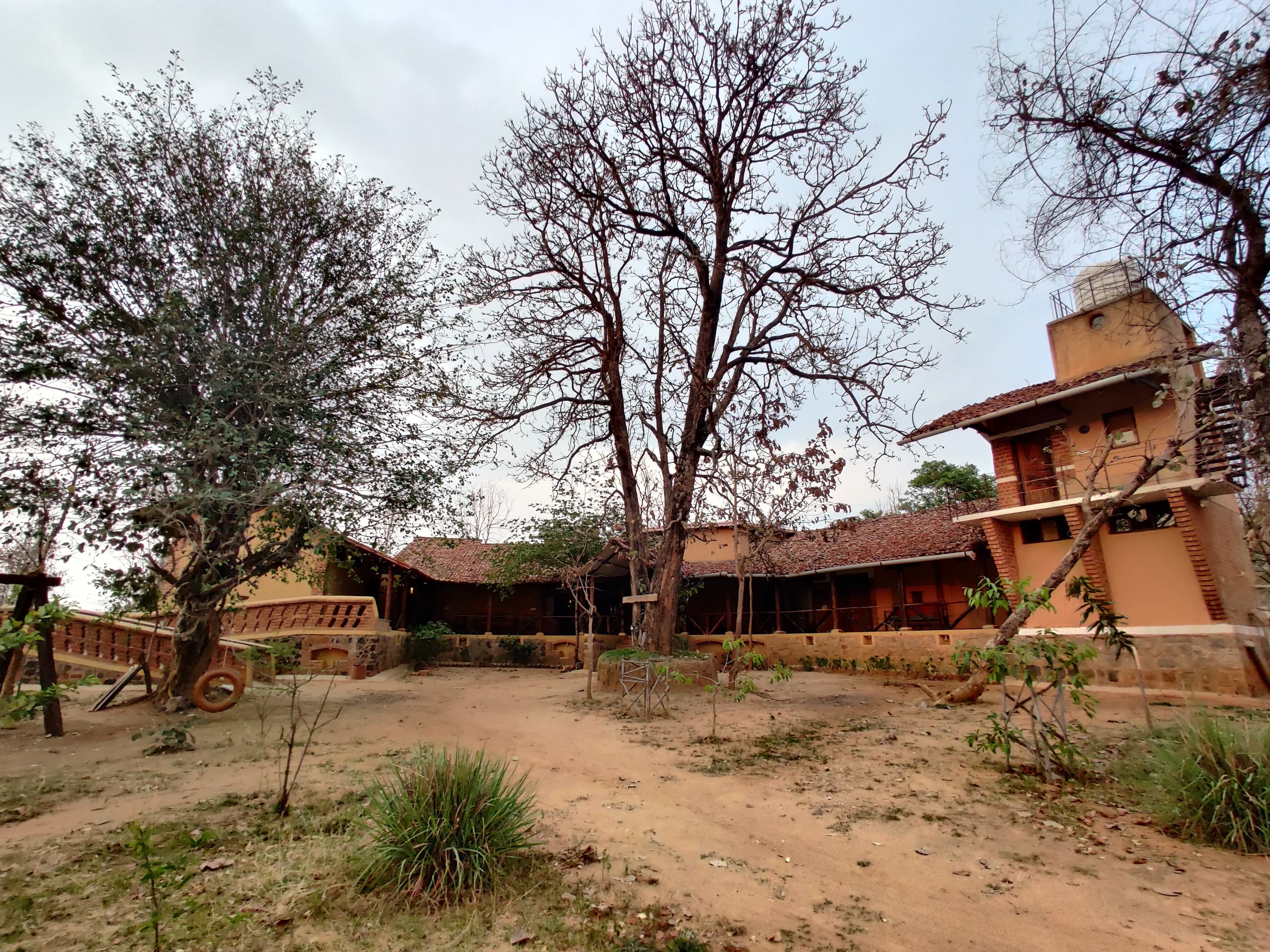 Eco Volunteering Programs