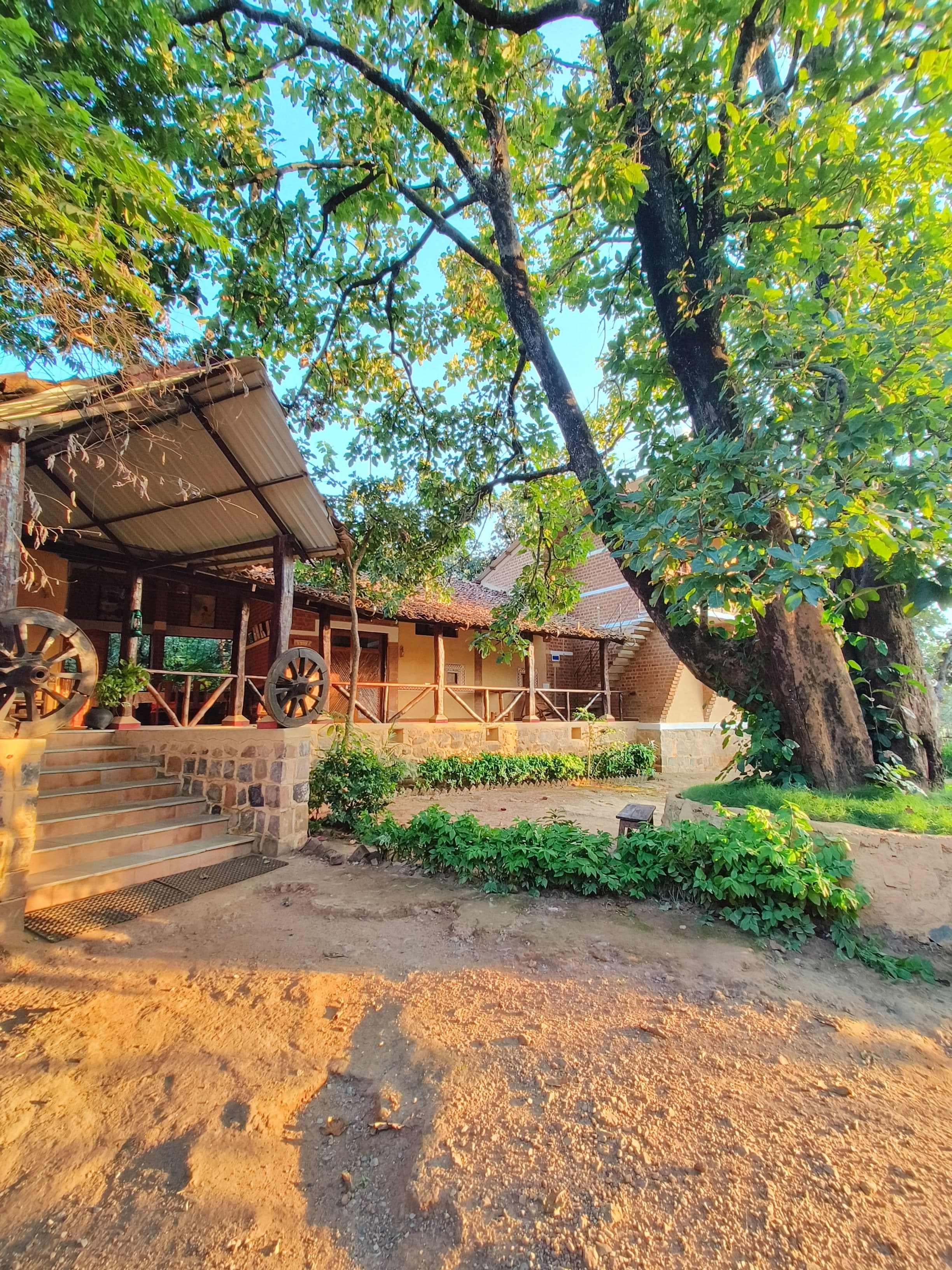 A serene trail winding through the forest