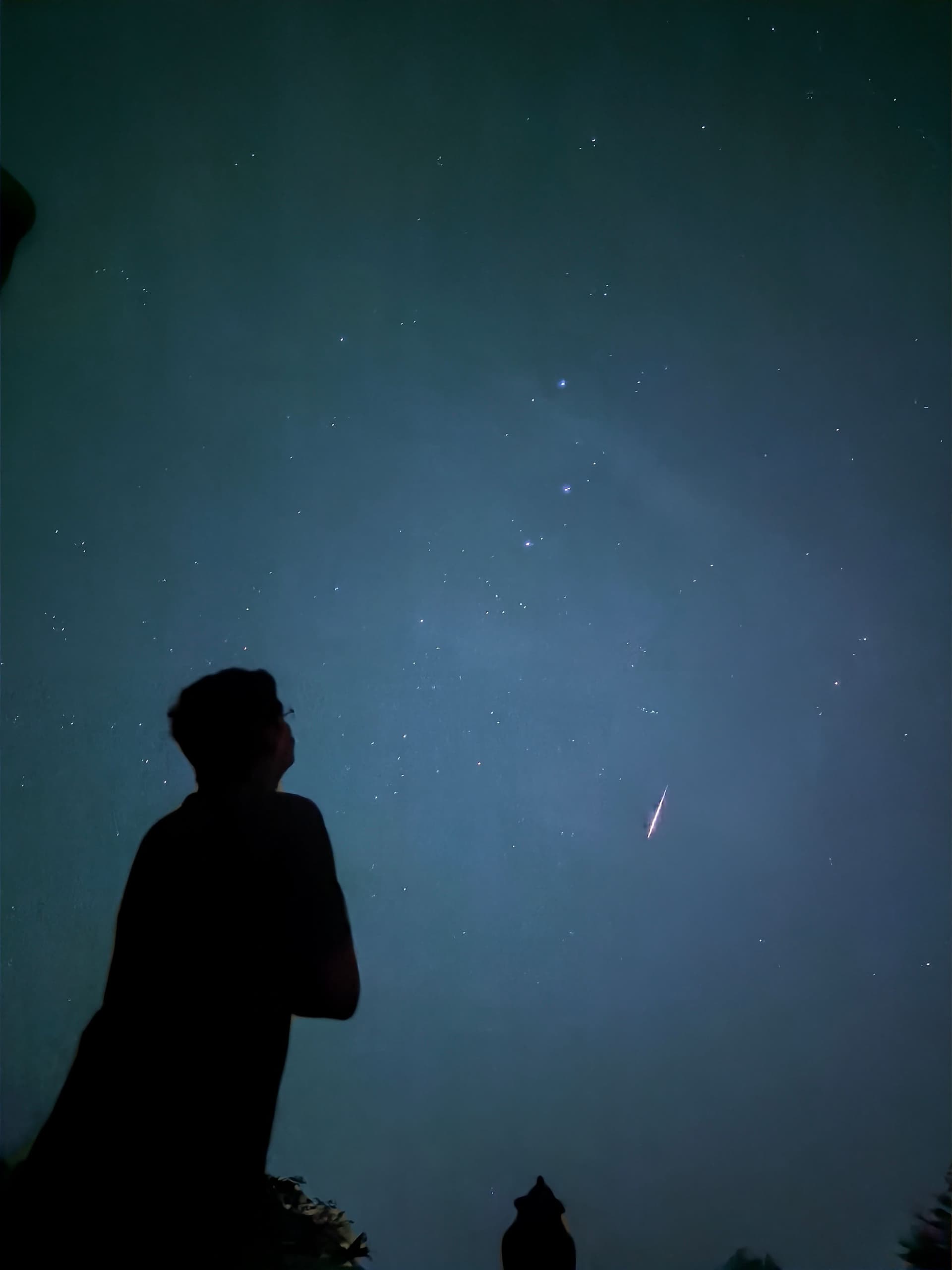 A captured image of the Milky Way