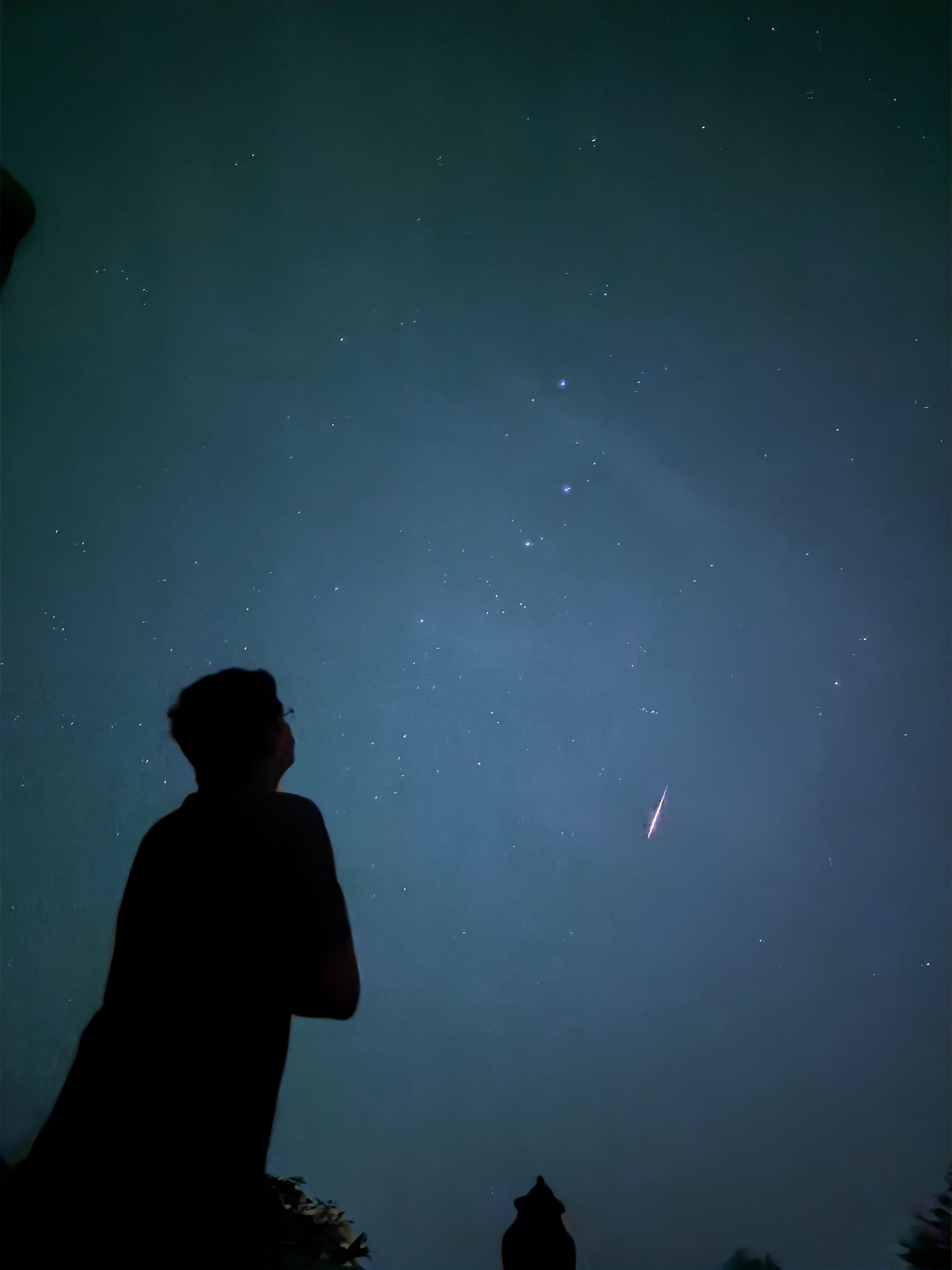 The Milky Way visible in the clear night sky